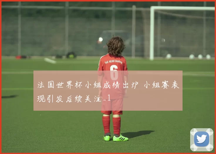 法国世界杯小组成绩出炉 小组赛表现引发后续关注_1
