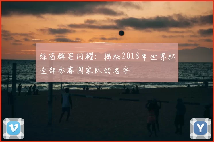绿茵群星闪耀:揭秘2018年世界杯全部参赛国家队的名字