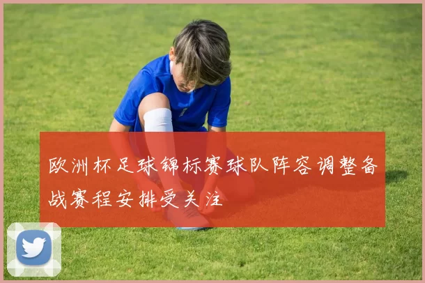 欧洲杯足球锦标赛球队阵容调整备战赛程安排受关注