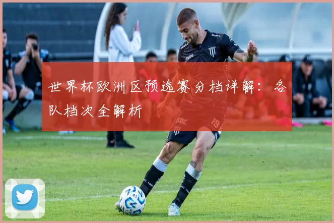 世界杯欧洲区预选赛分档详解：各队档次全解析