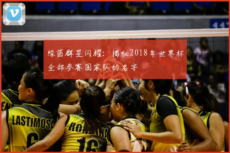 绿茵群星闪耀:揭秘2018年世界杯全部参赛国家队的名字