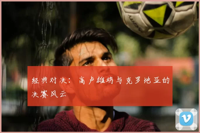 经典对决：高卢雄鸡与克罗地亚的决赛风云
