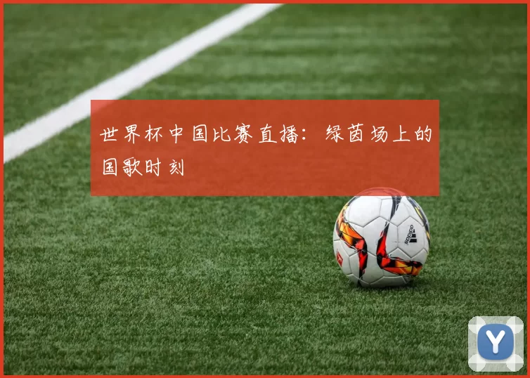 世界杯中国比赛直播：绿茵场上的国歌时刻