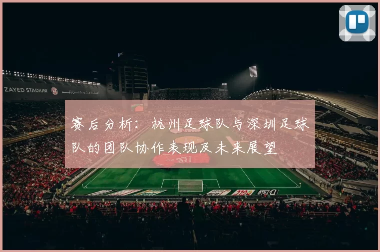 赛后分析:杭州足球队与深圳足球队的团队协作表现及未来展望