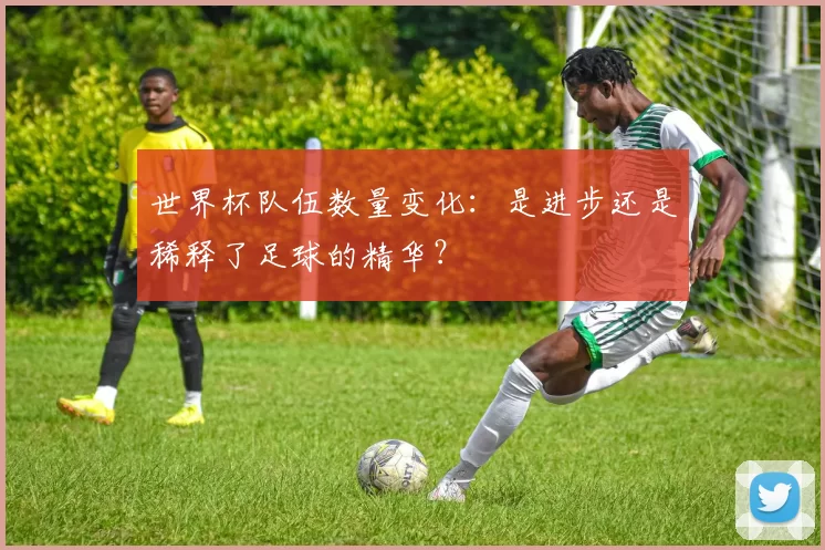 世界杯队伍数量变化：是进步还是稀释了足球的精华？