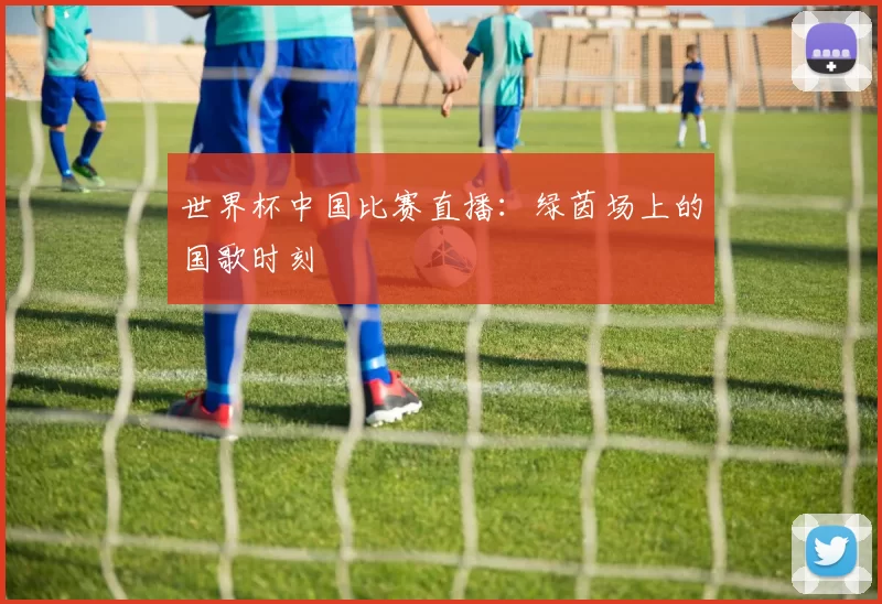 世界杯中国比赛直播:绿茵场上的国歌时刻